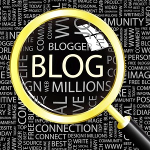 Kişisel blog eleştirileri