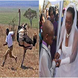 Afrika'daki Tuhaf Yasalar