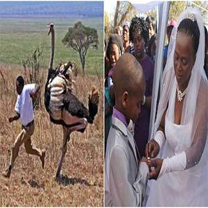 Afrika'daki Tuhaf Yasalar