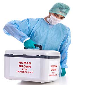 Organ Nakli