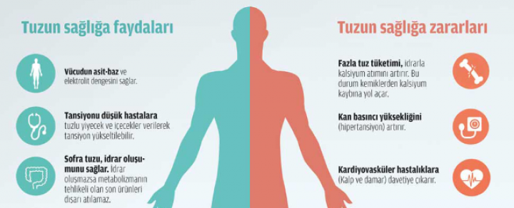 Tuzun Yarar ve Zararları